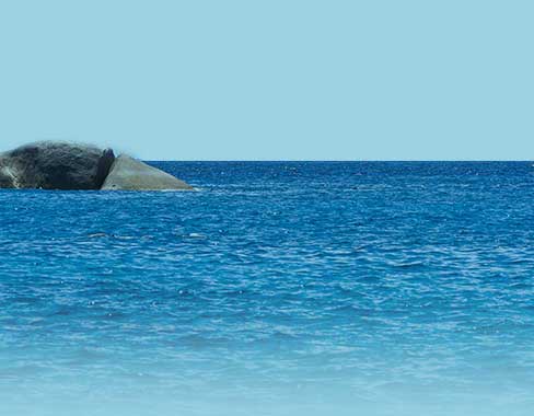 Ocean in the dream